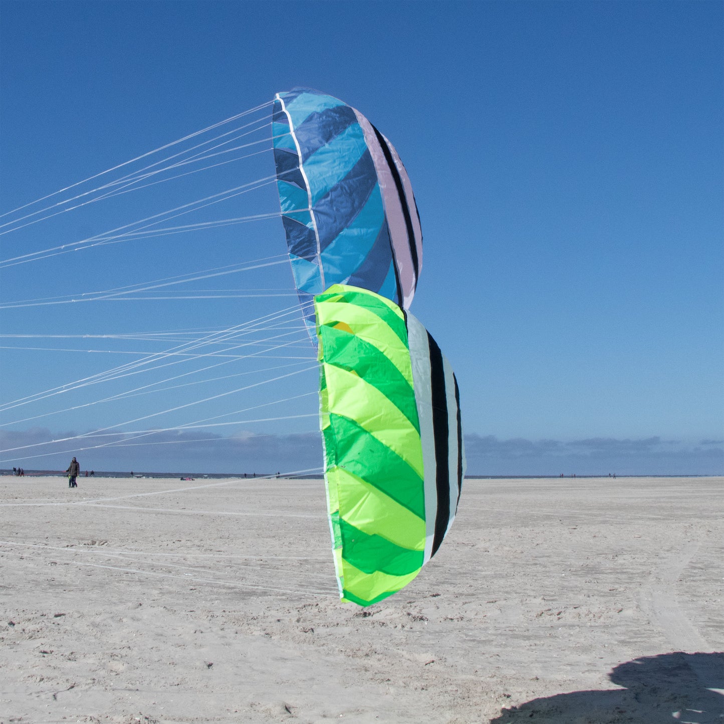 Spiderkites Vertex Bol