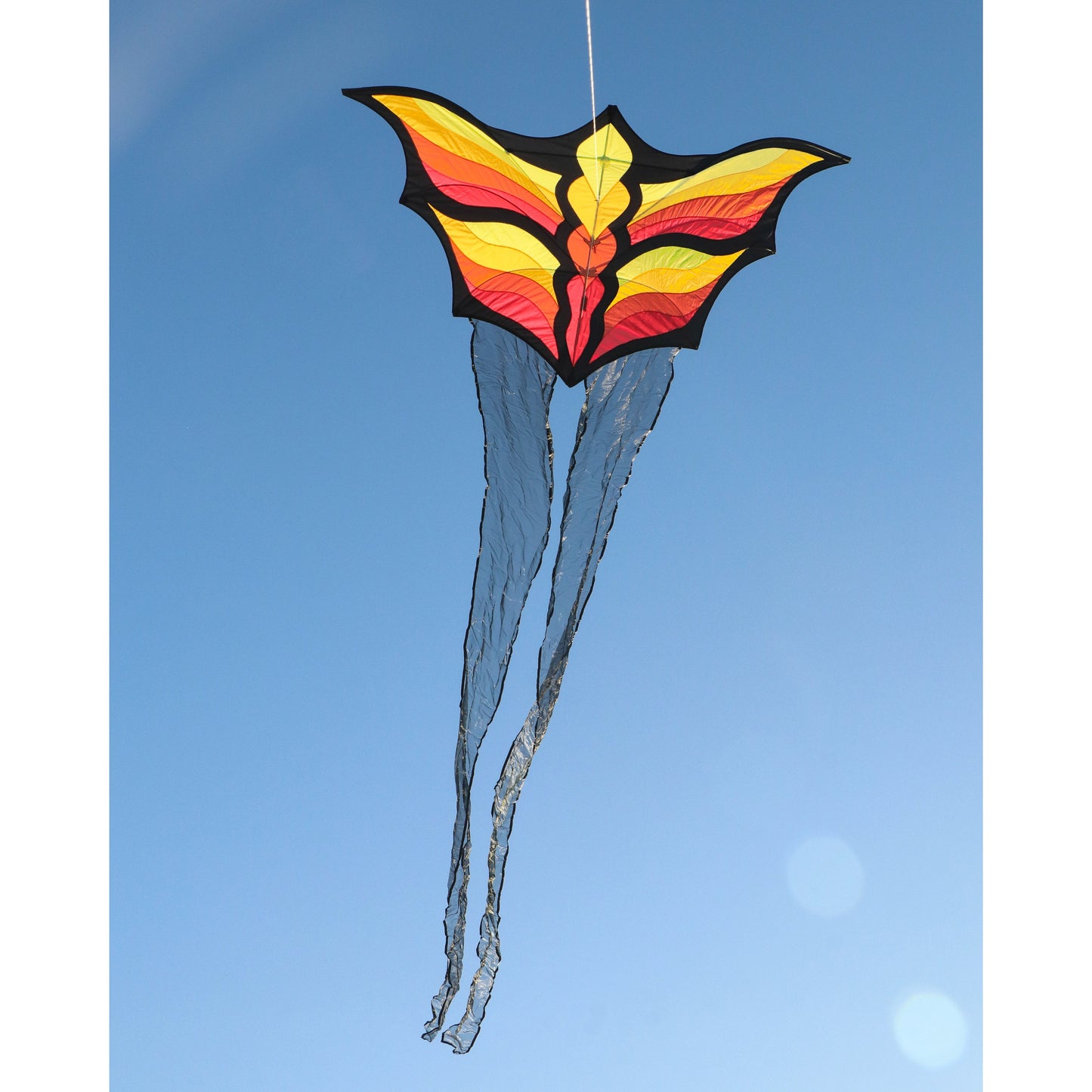 Brasington Butterfly
