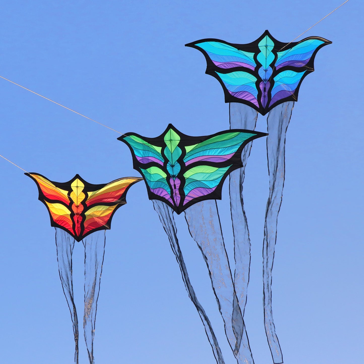 Brasington Butterfly
