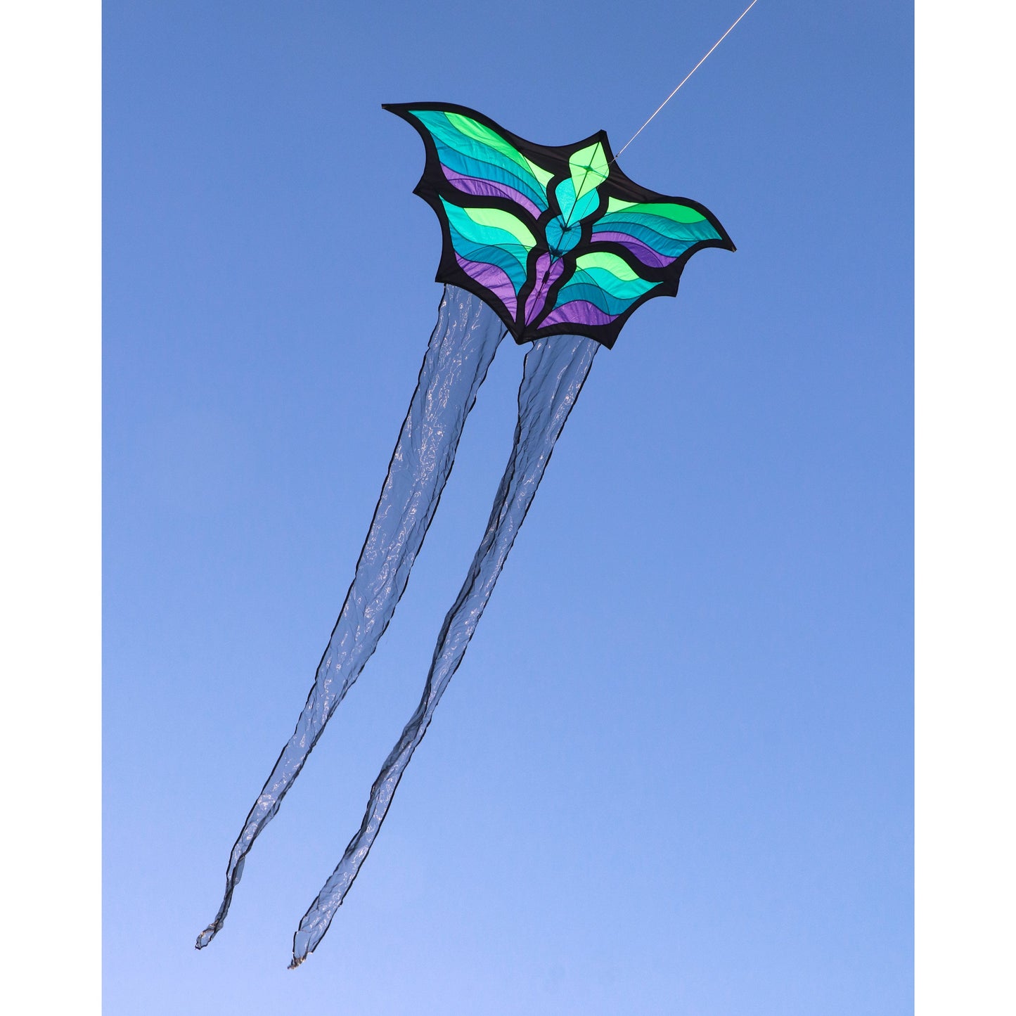 Brasington Butterfly