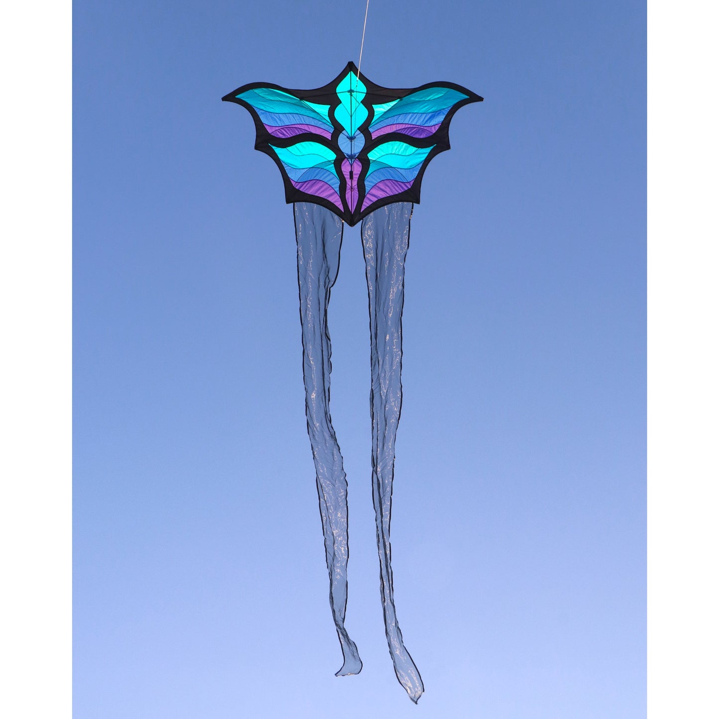 Brasington Butterfly