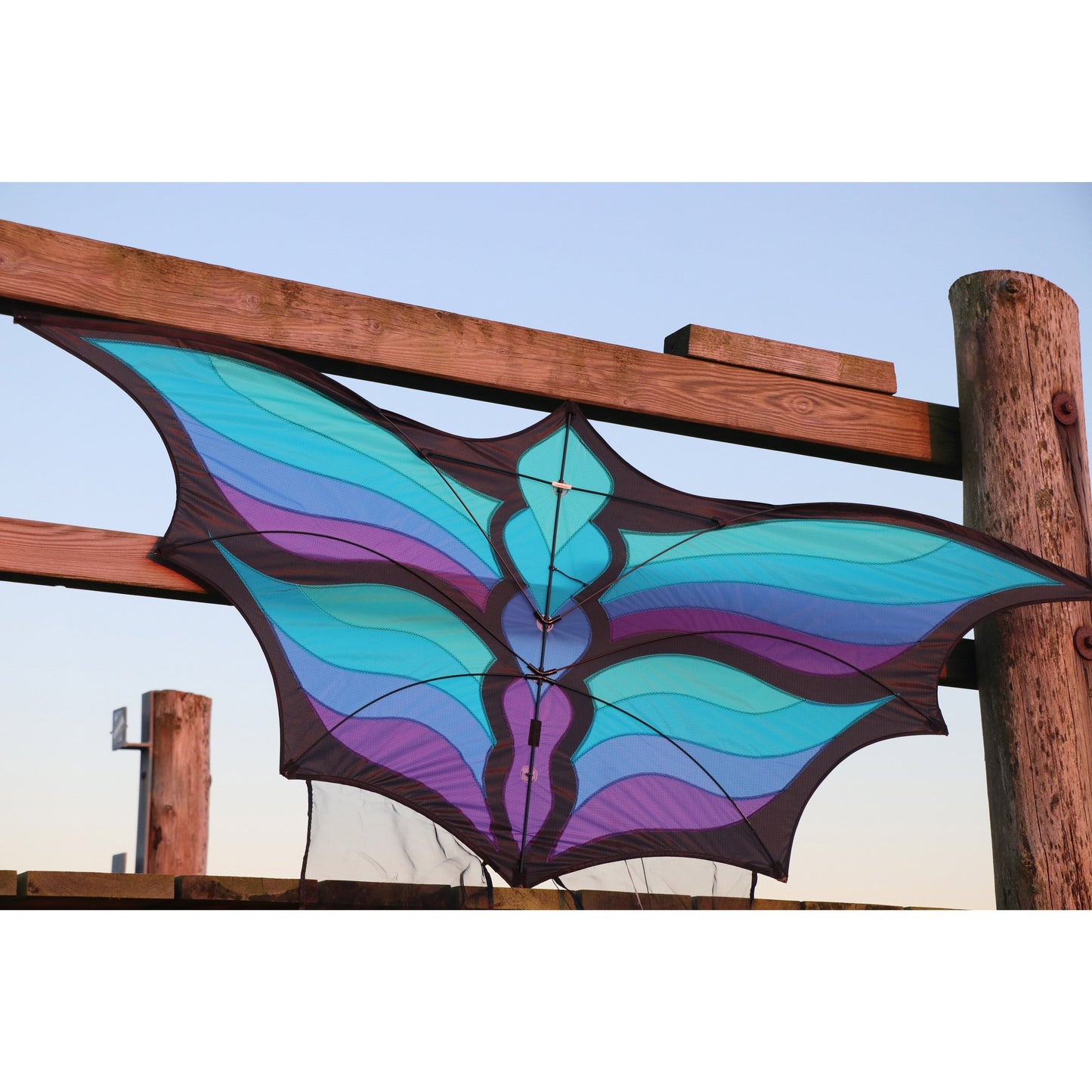 Brasington Butterfly