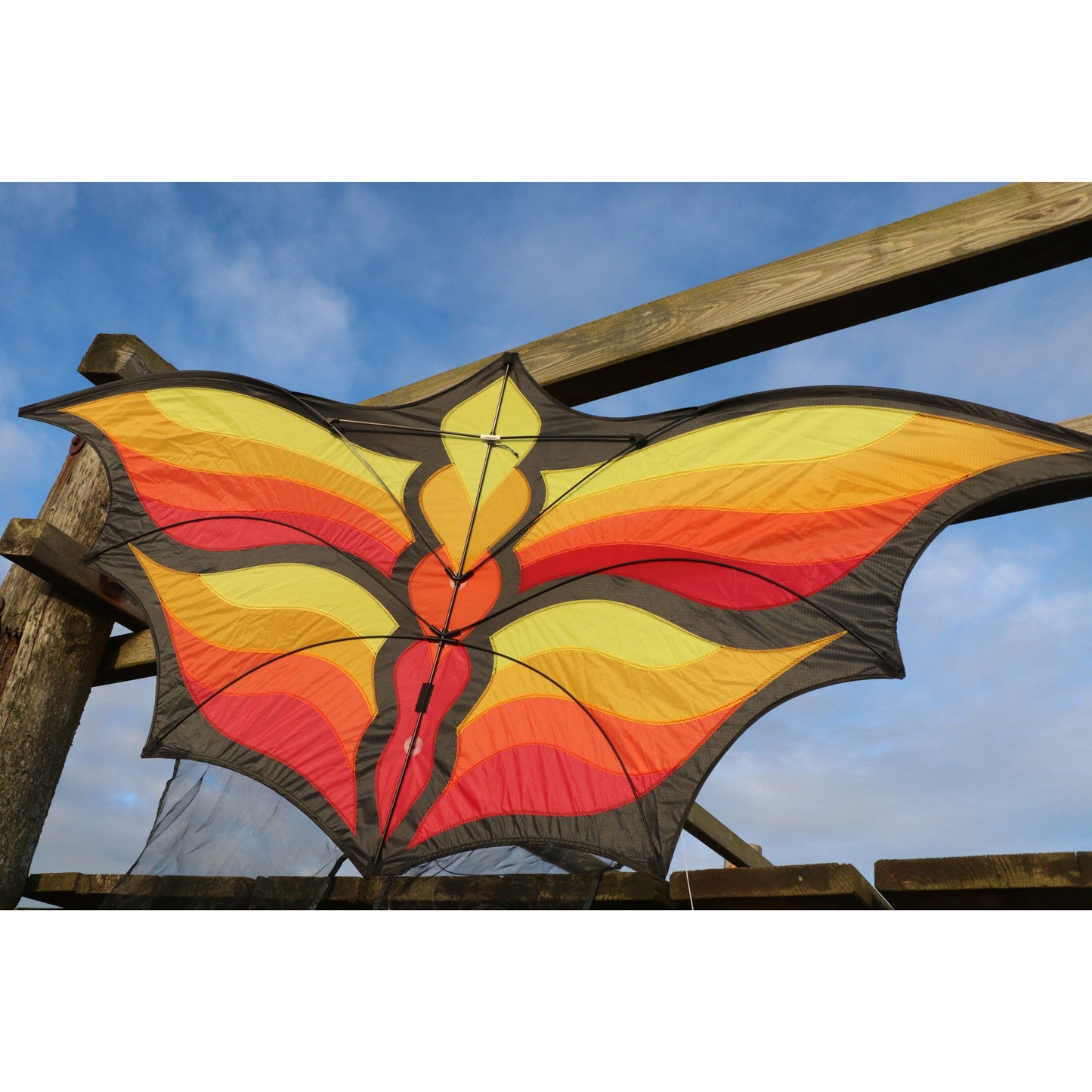 Brasington Butterfly