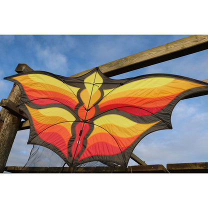 Brasington Butterfly