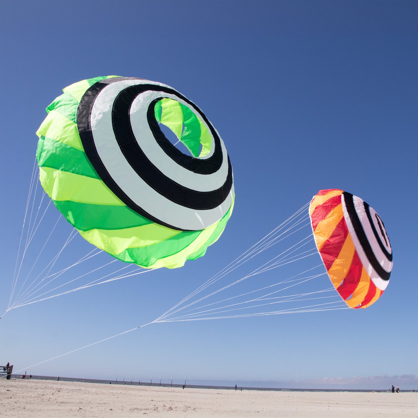 Spiderkites Vertex Bol