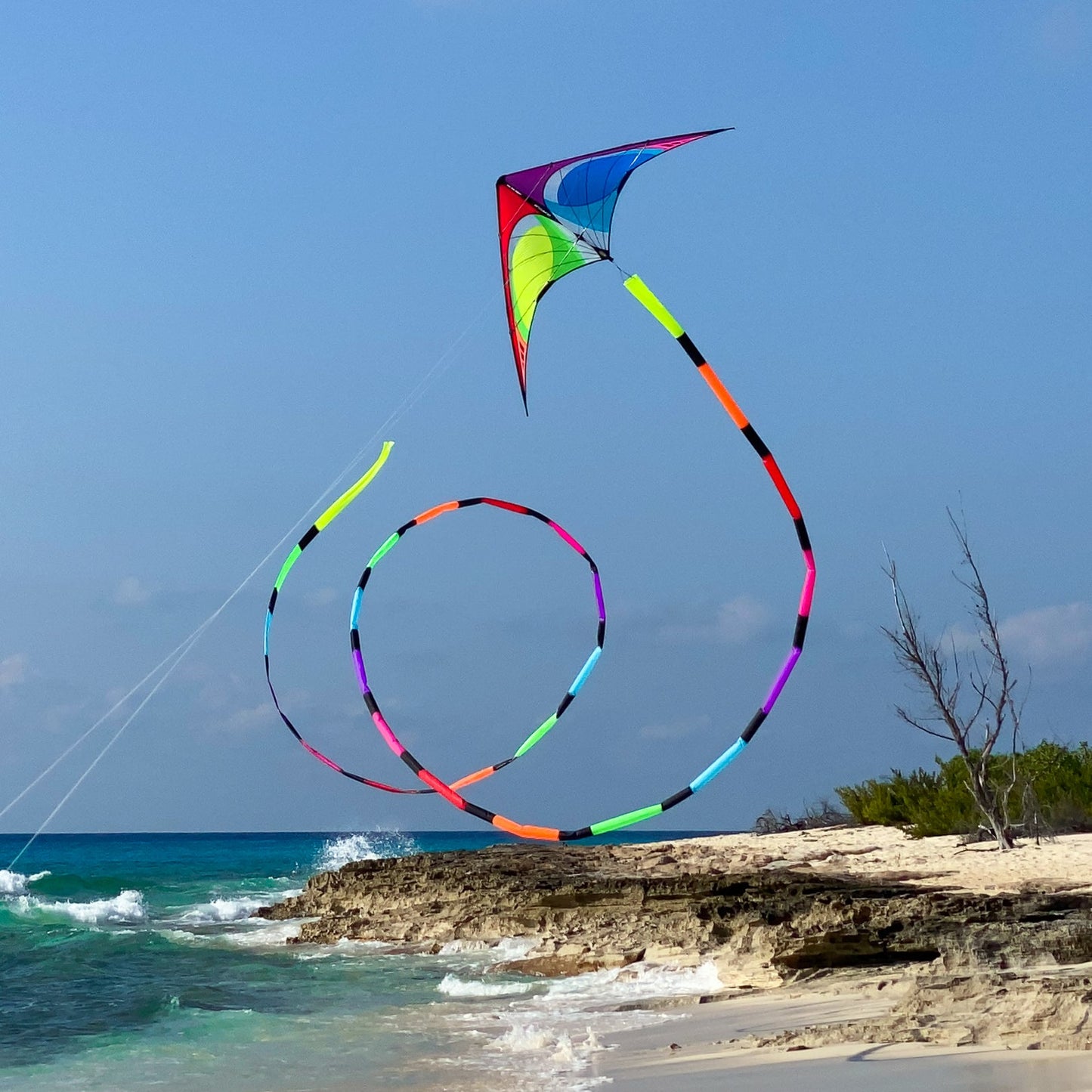 Spectrum Quantum with 75 foot spectrum tube tail