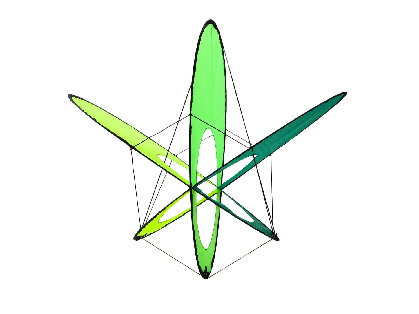 Citrus EO Atom on white background