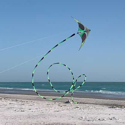 Aurora Tube Tail