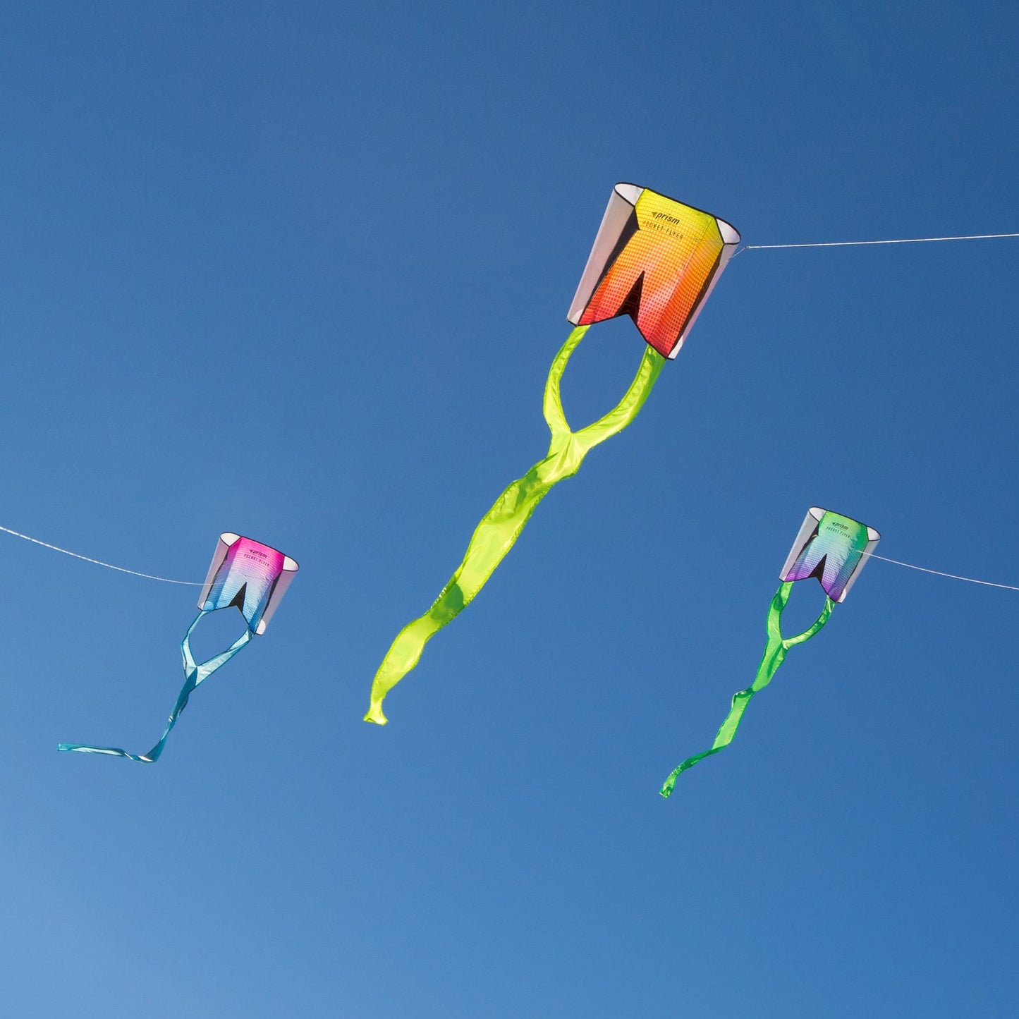 Three Pocket Flyers flying in a group