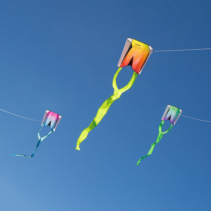 Three Pocket Flyers flying in a group