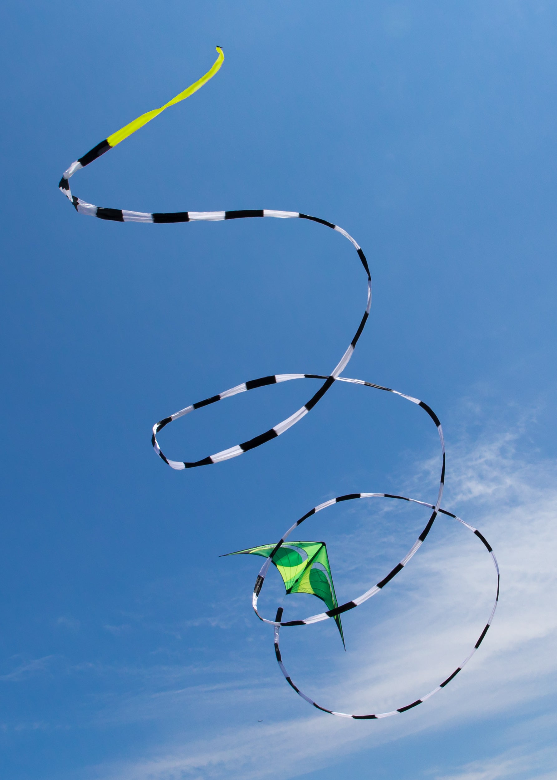 Citrus Quantum with 75 foot black and white tube tail