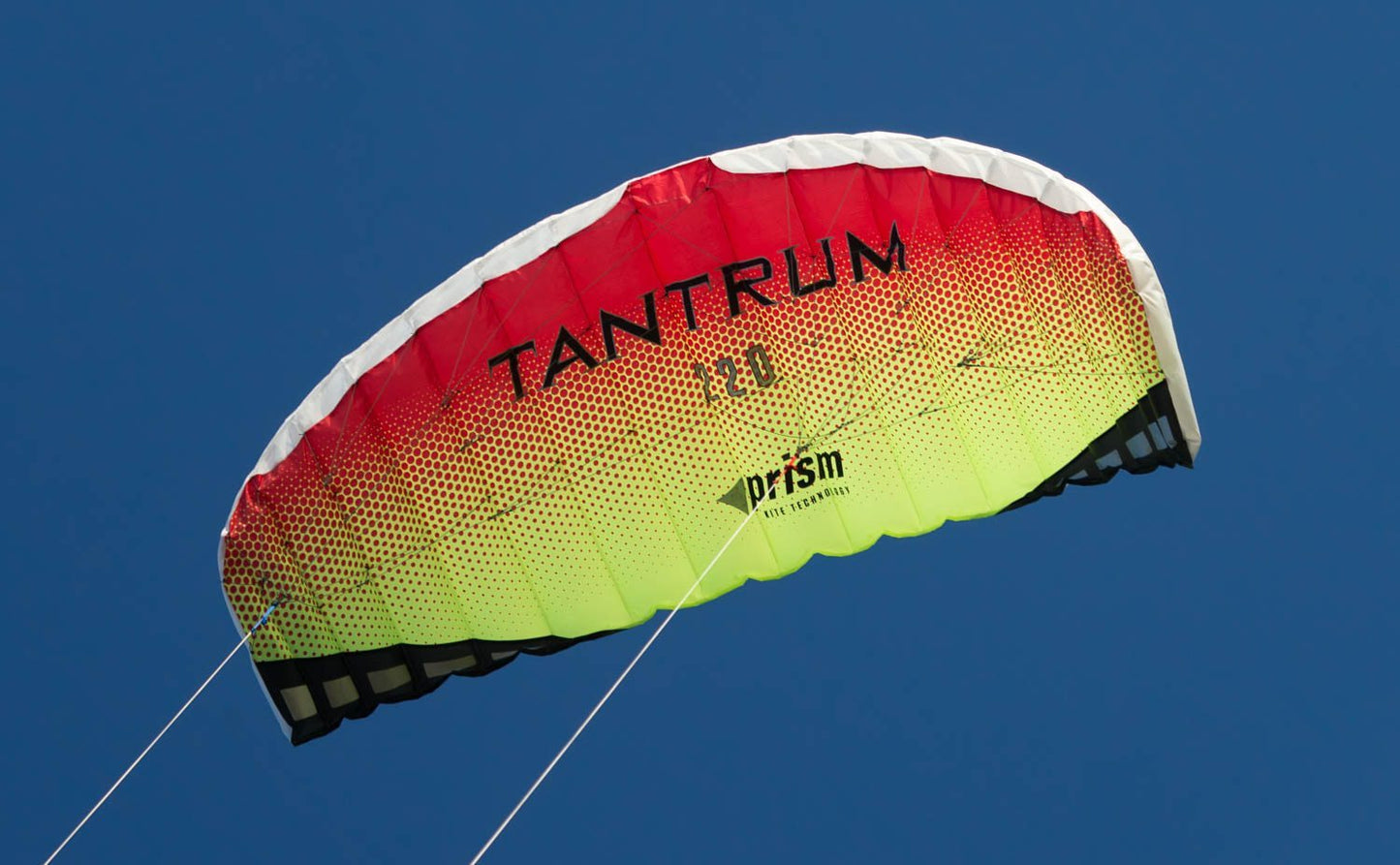 Tantrum 220 in flight